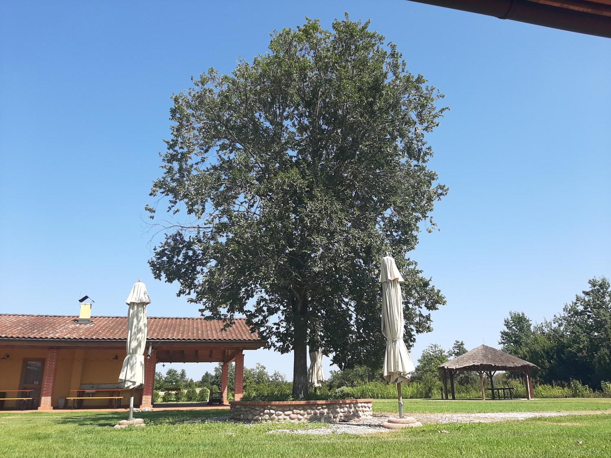Corte All'Olmo Verona Bagian luar foto